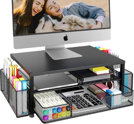2-Tier Monitor Stand Desk Organizer
